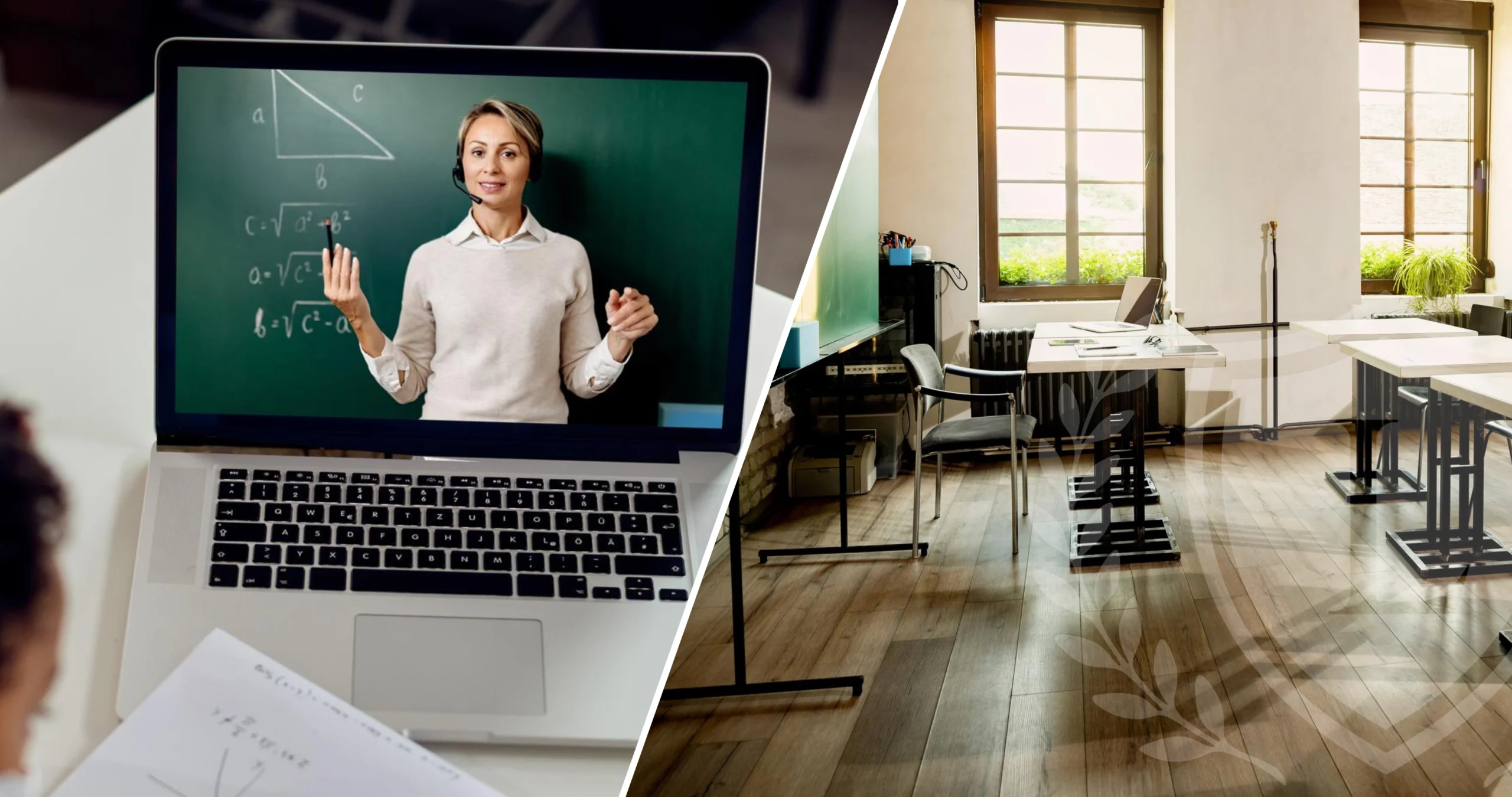 comparing traditional classroom schooling with private online schooling